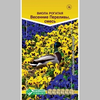 Виола Весенние Переливы F1 (рогатая)