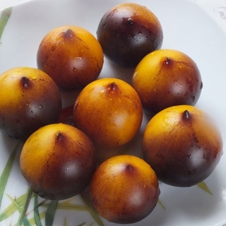 Томат Фиолетовая Галактика