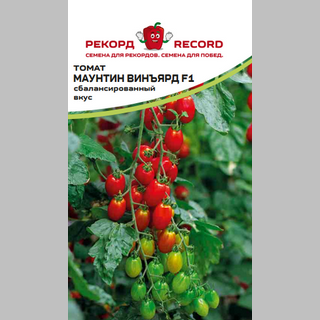 Томат Маунтин Виньярд F1 (Bejo)