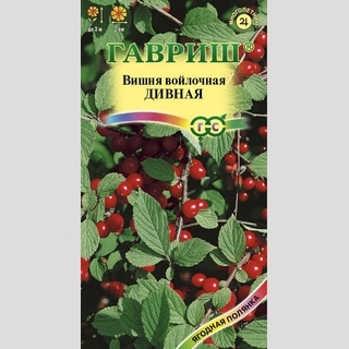 Вишня Дивная войлочная