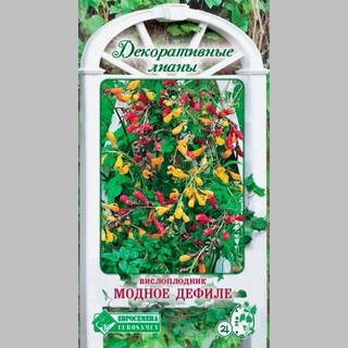 Вислоплодник Модное дефиле