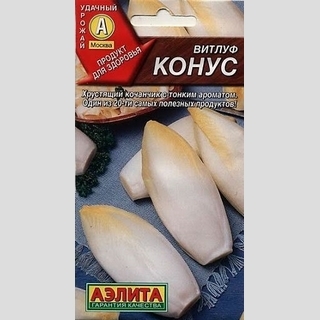 Витлуф Конус