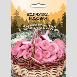 Грибы - Волнушка Розовая (мицелий) 30мл (большой пакет)
