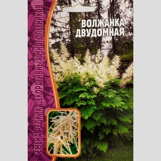 Волжанка двудомная (большой пакет)