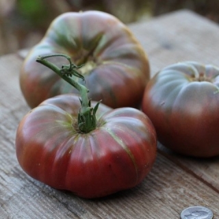 Томат Ворлон