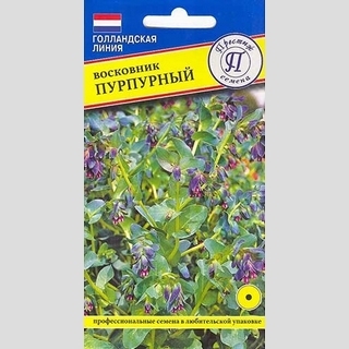 Восковник пурпурный