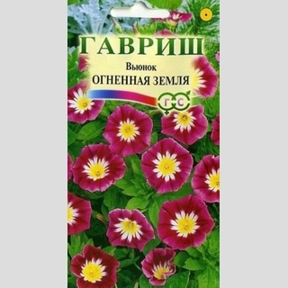 Вьюнок Огненная земля