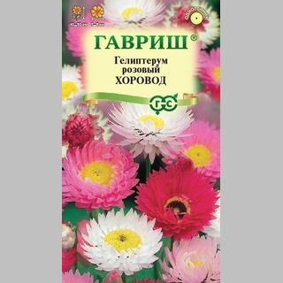 Гелиптерум Хоровод (розовый)