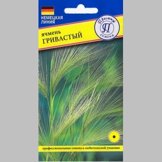 Ячмень Гривастый