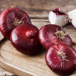 Лук Ялтинский красный репчатый