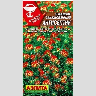 Язвенник Антисептик