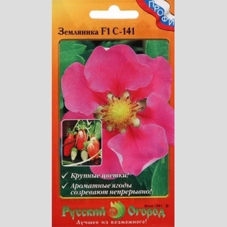 Земляника С-141 F1