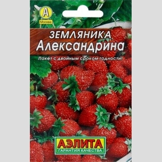 Земляника Александрина