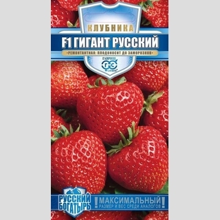 Земляника (Клубника) Гигант русский F1