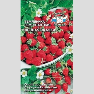 Земляника Лесная Сказка (мелкоплодная)