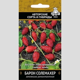 Земляника Барон Солемахер