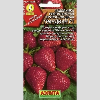 Земляника Грандиан F1