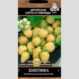 Земляника Золотинка