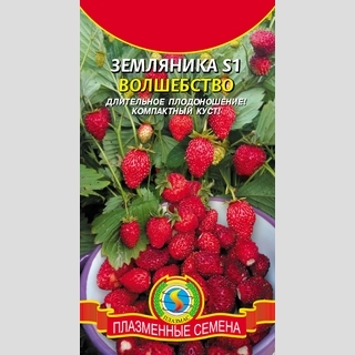Земляника S1 Волшебство