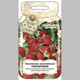 Земляника Сказочная (альпийская)