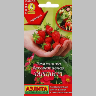 Земляника Тарпан F1