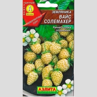 Земляника Вайс Солемахер