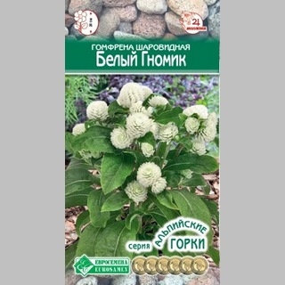 Гомфрена Белый гномик (шаровидная)