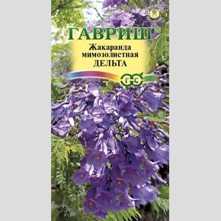 Жакаранда Дельта