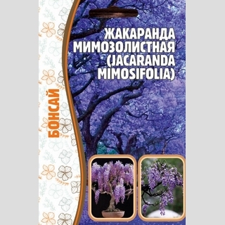 Жакаранда мимозолистная (большой пакет)