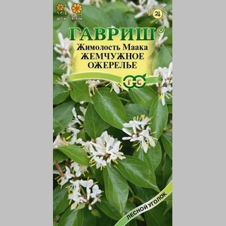 Жимолость Жемчужное ожерелье (Маака)