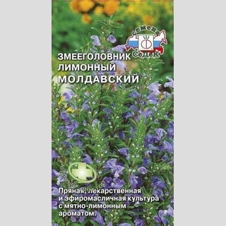 Змееголовник Молдавский лимонный