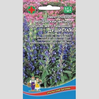 Змееголовник молдавский (мелисса турецкая) Душистая