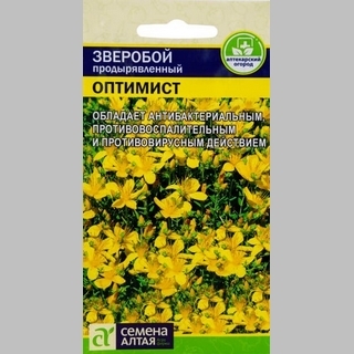 Зверобой Оптимист